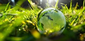 Ecosostenibilità in Nobento: come rendiamo il mondo più pulito con il nostro lavoro